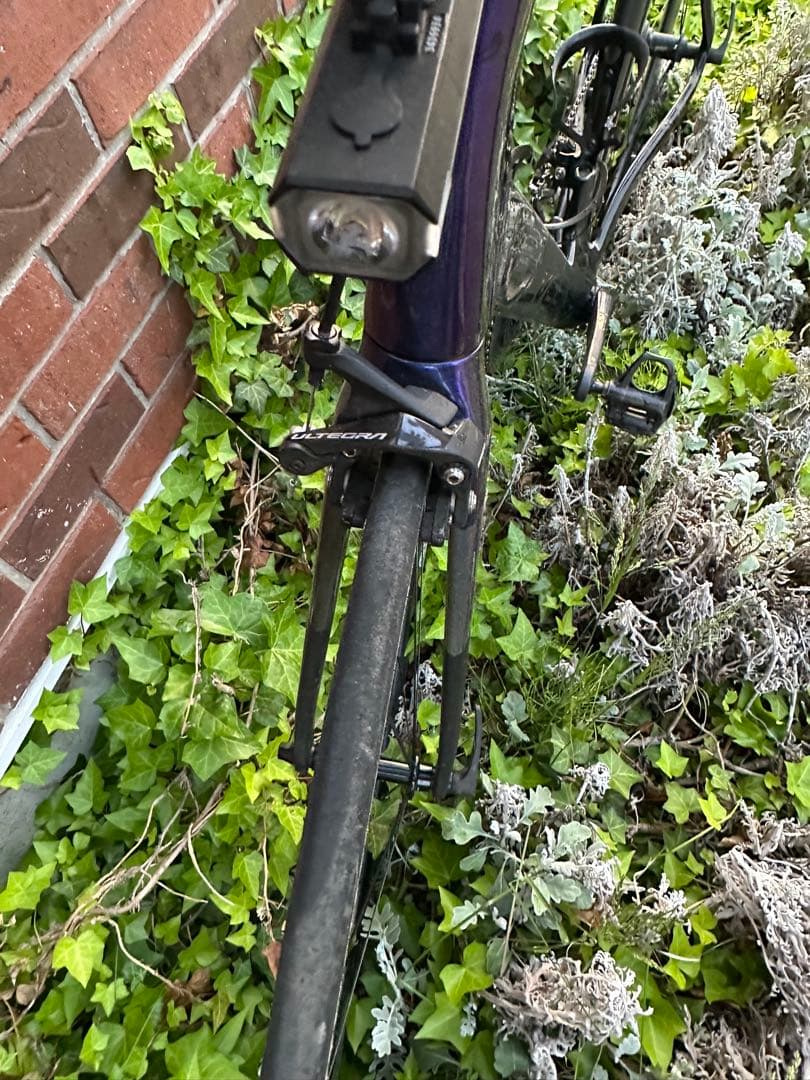 ELEVS FALATH PRO ファラスプロ　完成車