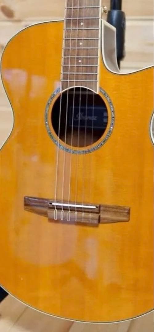 ハードケース付 Ibanez アイバニーズ AEG10NII-TNG エレガット