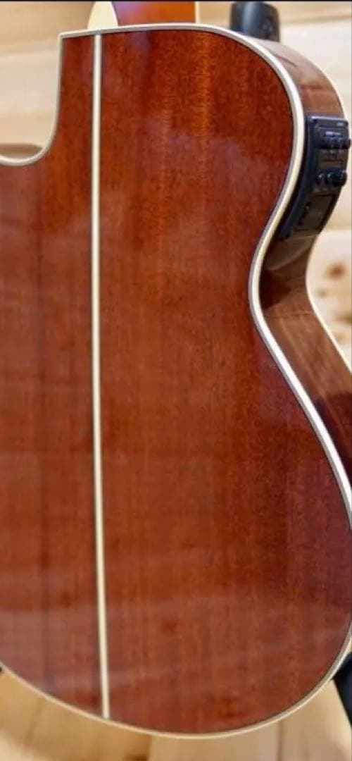 ハードケース付 Ibanez アイバニーズ AEG10NII-TNG エレガット