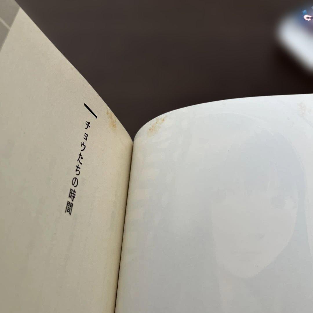 チョウたちの時間