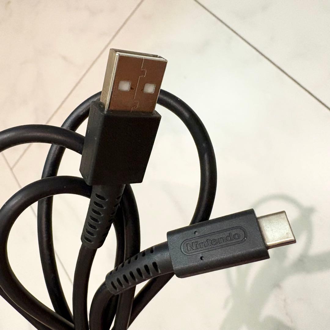 美品 Nintendo Switch Lite グレー (動作確認・初期化済み)