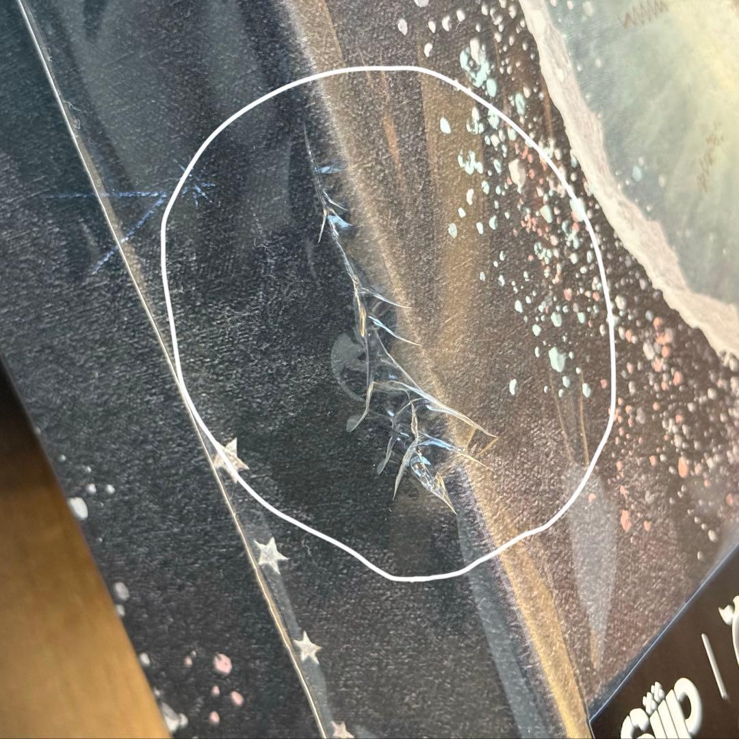 【りあ】Siipガイア 完全生産限定版 (グッズ、外箱)