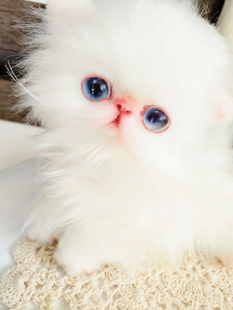 エキゾチックロングヘア♡子猫のミイちゃん♡アートドール♡ぬいぐるみ♡