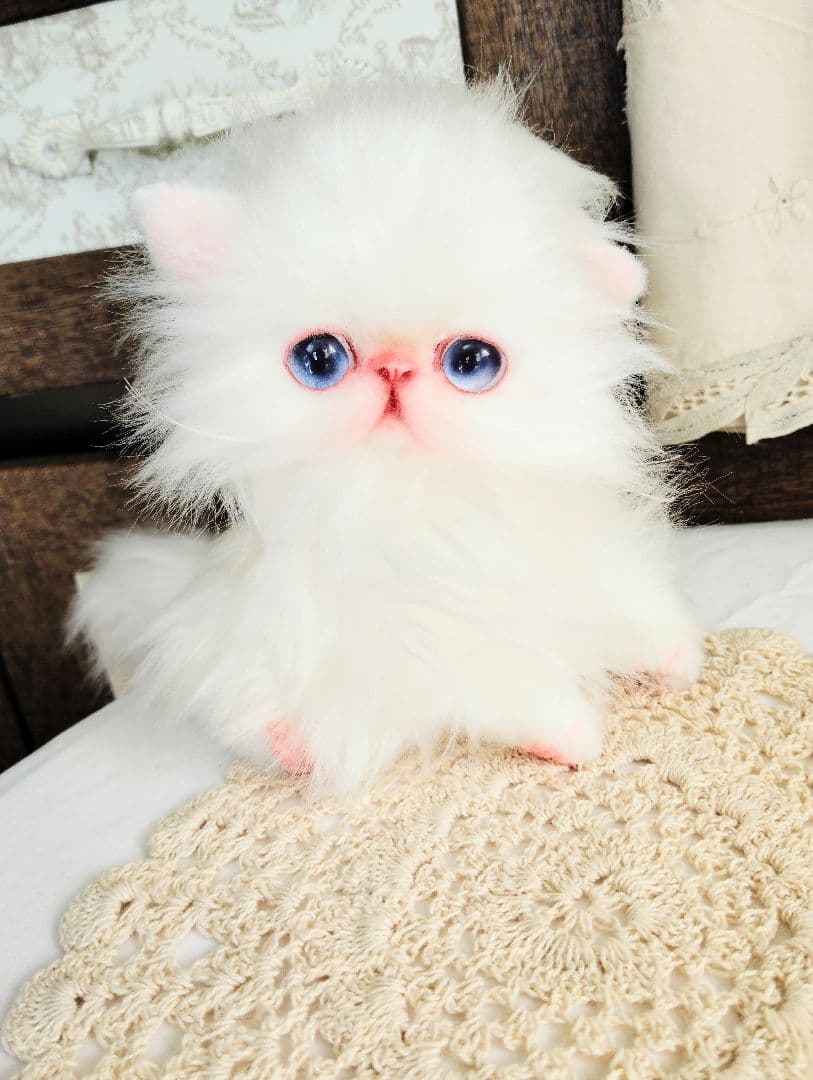 エキゾチックロングヘア♡子猫のミイちゃん♡アートドール♡ぬいぐるみ♡