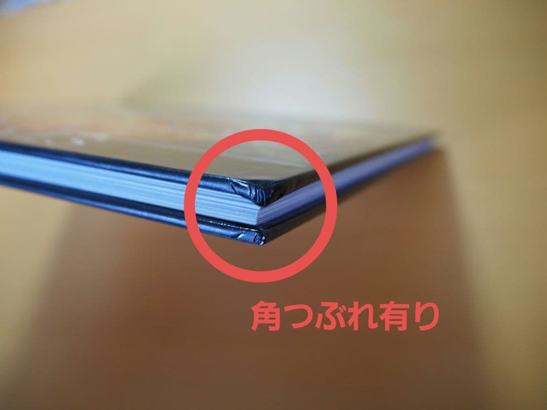 洋書 FROM PADS TO PALETTE / ERNIE BARNES