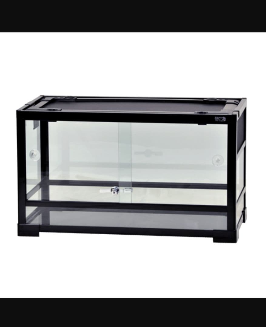 パンテオン 6035