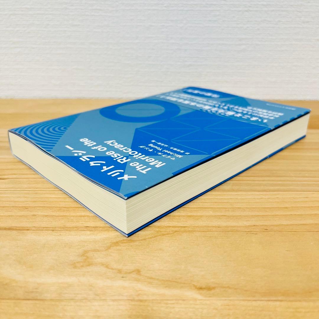 【希少】メリトクラシー マイケル・ヤング