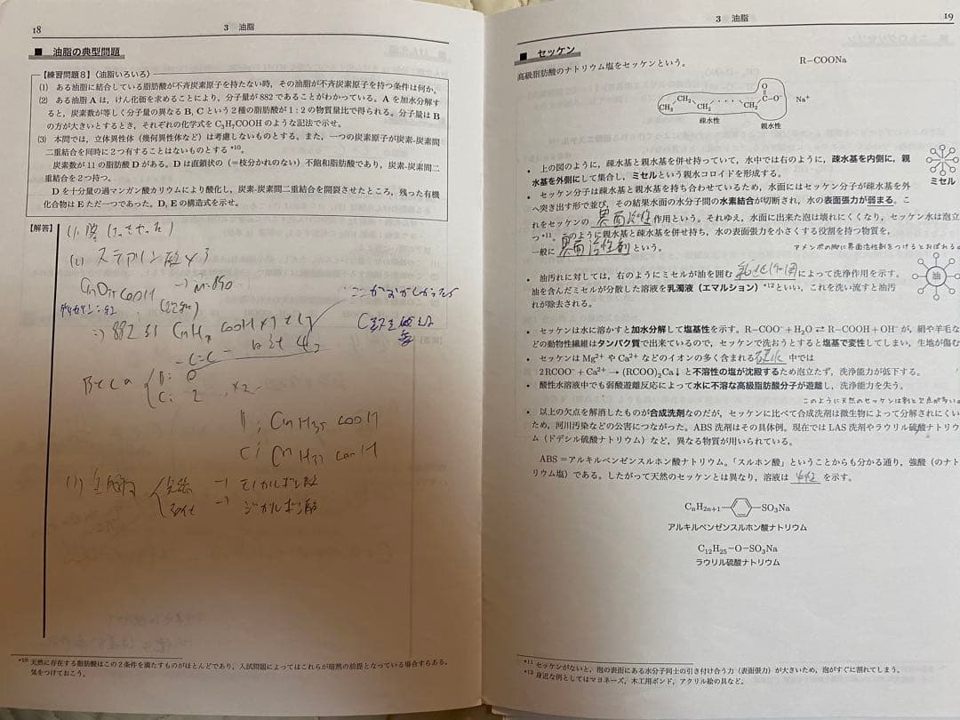鉄緑会 高３化学 2019年度版