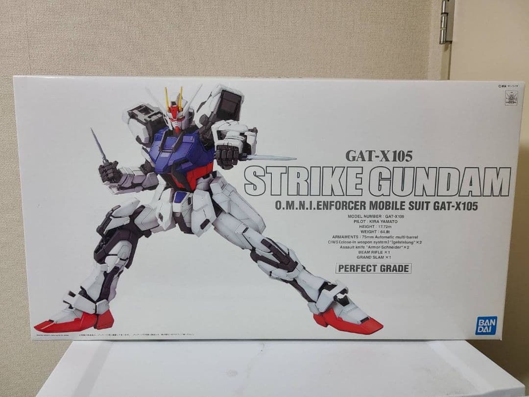 ハ*１様 未組立BANDAI GAT-X105 STRIKE GUNDAM PG