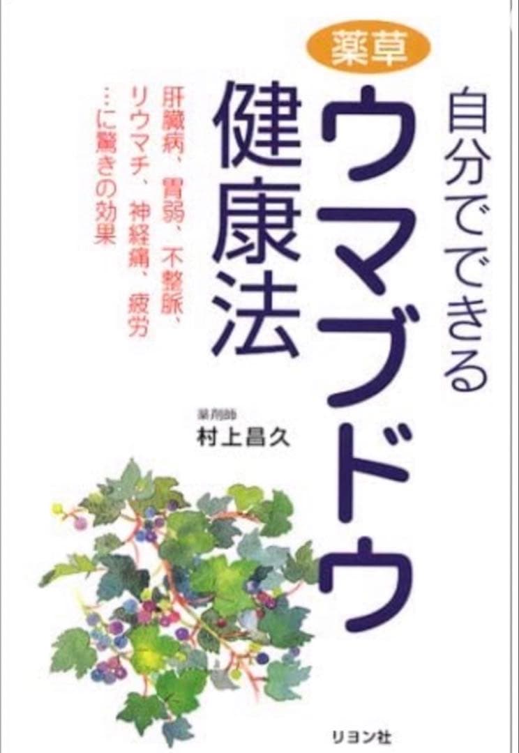 【大容量】馬ぶどう250g×12袋　1年分3kg うまぶどう　薬膳　民間療法