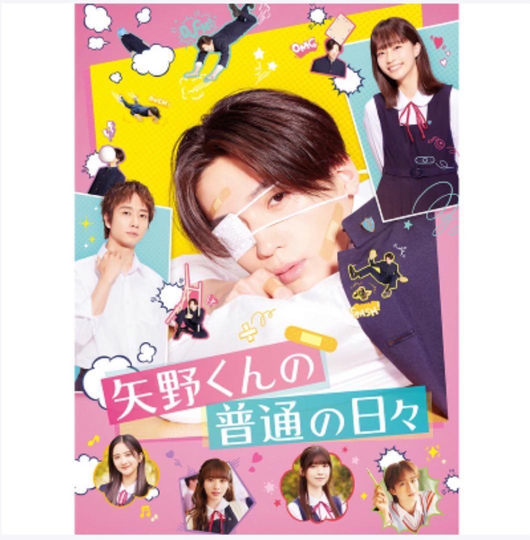 矢野くんの普通の日々 DVD