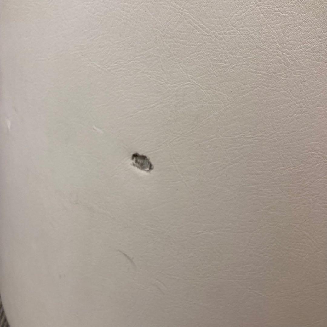 FUJIKA フジカ　スマーティF4-N5 ドーム型遠赤外線サウナ