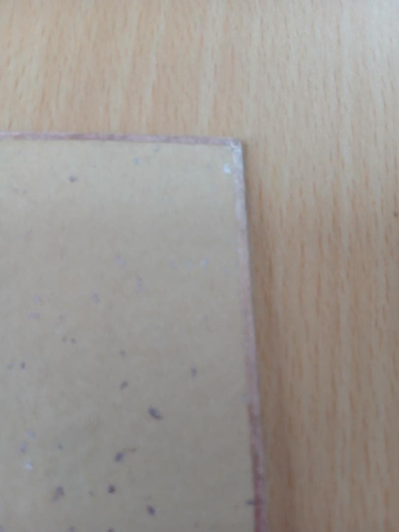 V9時代　王貞治直筆サイン色紙