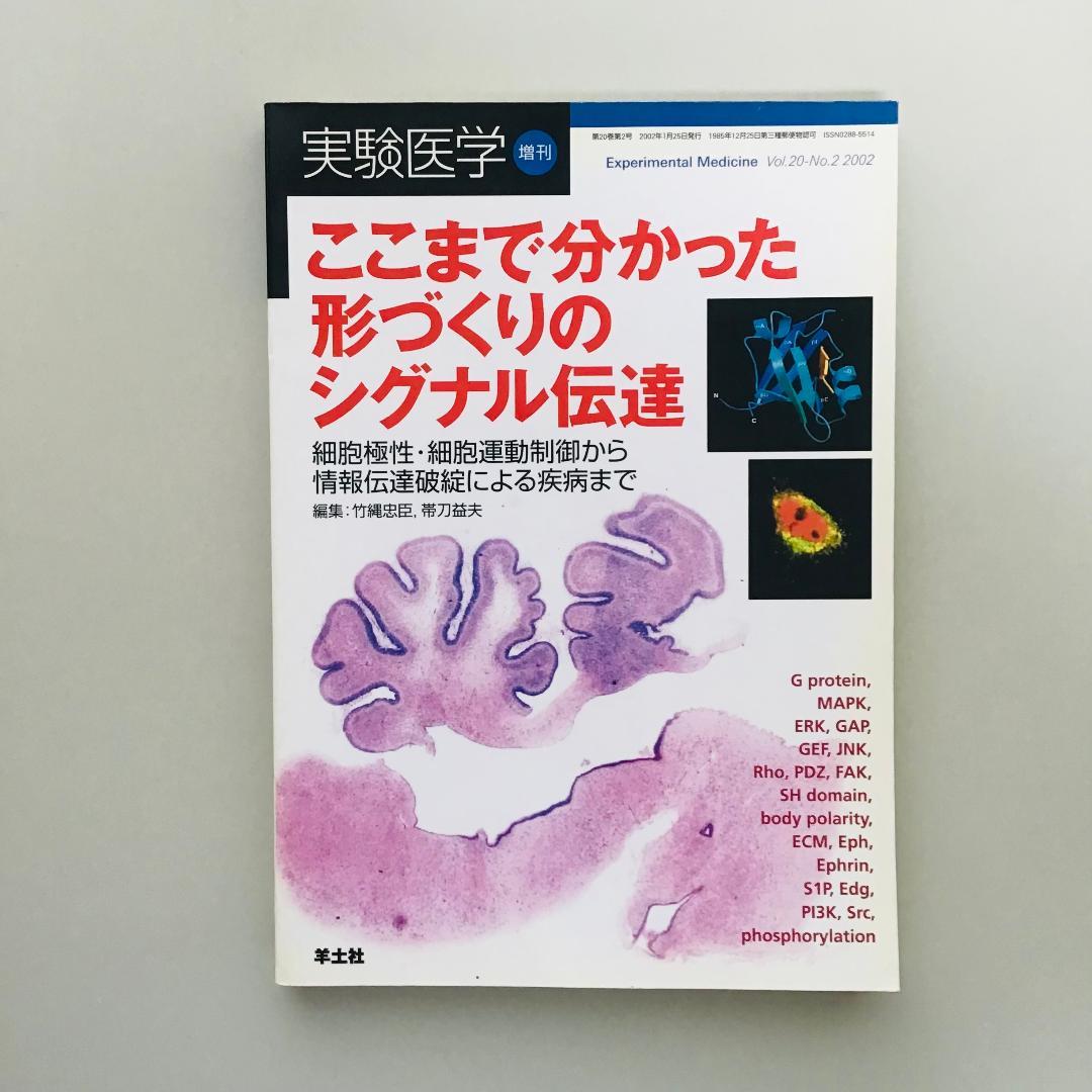 実験医学 2002年 1年分 全17冊セット