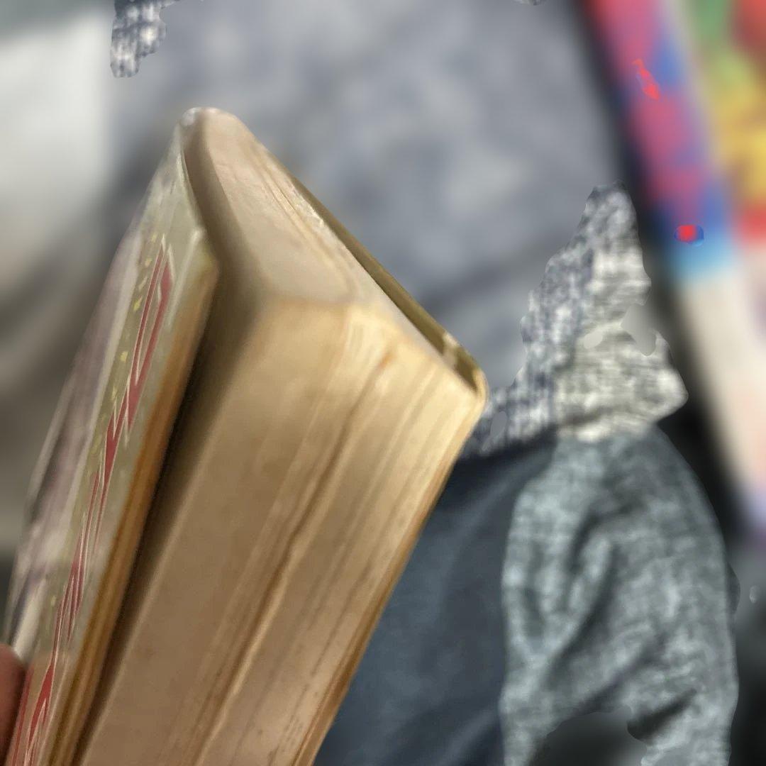 ワイルド7確認用２０巻