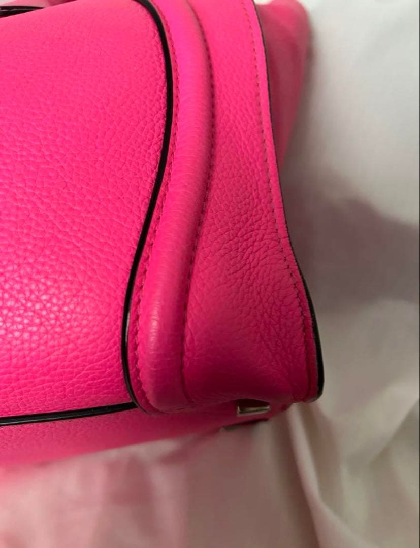 【保存袋等 付属品有 希少】CELINE セリーヌ ラゲージ ピンク