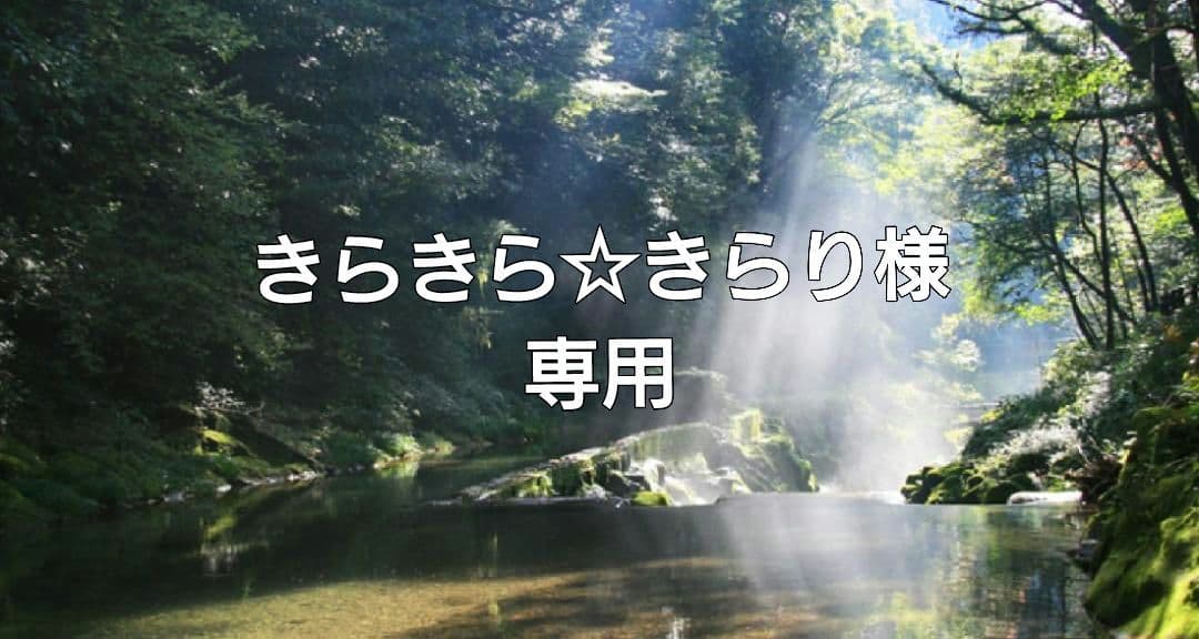 きらきら☆きらり✨特典付電磁波防止✨本物CMCペンダントUSA版2本お値引