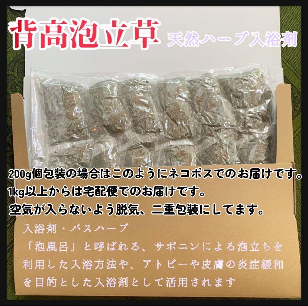 【天然ハーブ】背高泡立草　セイタカアワダチソウ1kg 個包装80個前後　大容量