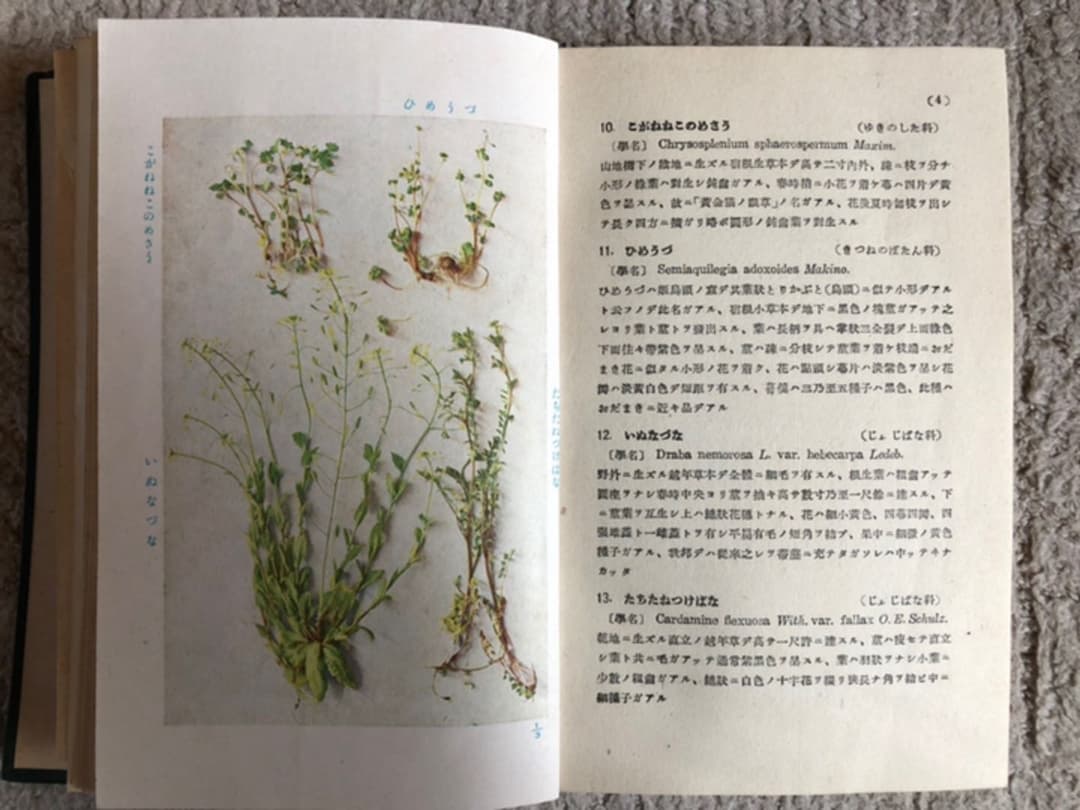 原色 野外植物圖譜-上巻 牧野 富太郎 著 昭和17年3版 検印有