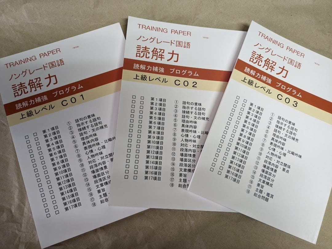 トレーニングペーパー　ノングレード国語　大学受験レベルC