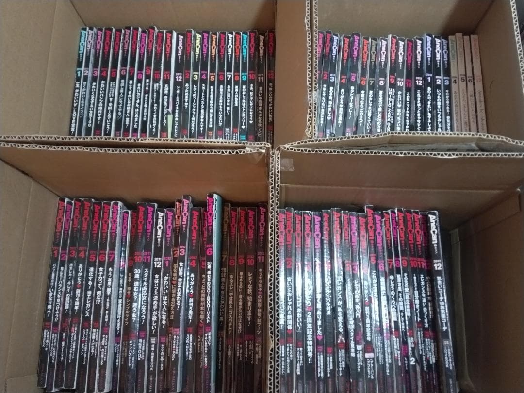 AneCan ＜貴重！＞合計85冊セット