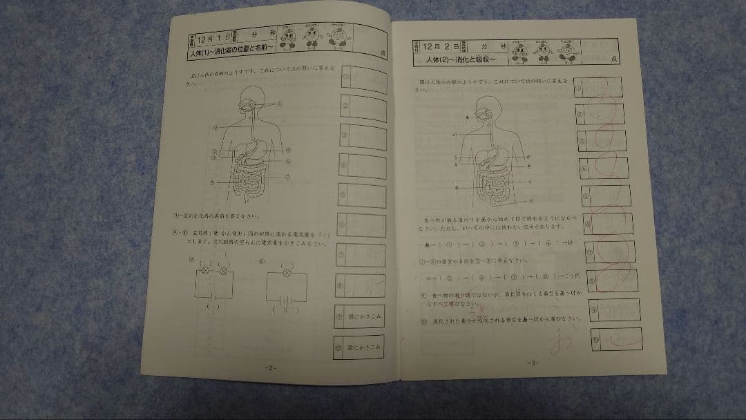 【原本】サピックス基礎力トレーニング　5年理科(2015年度版)