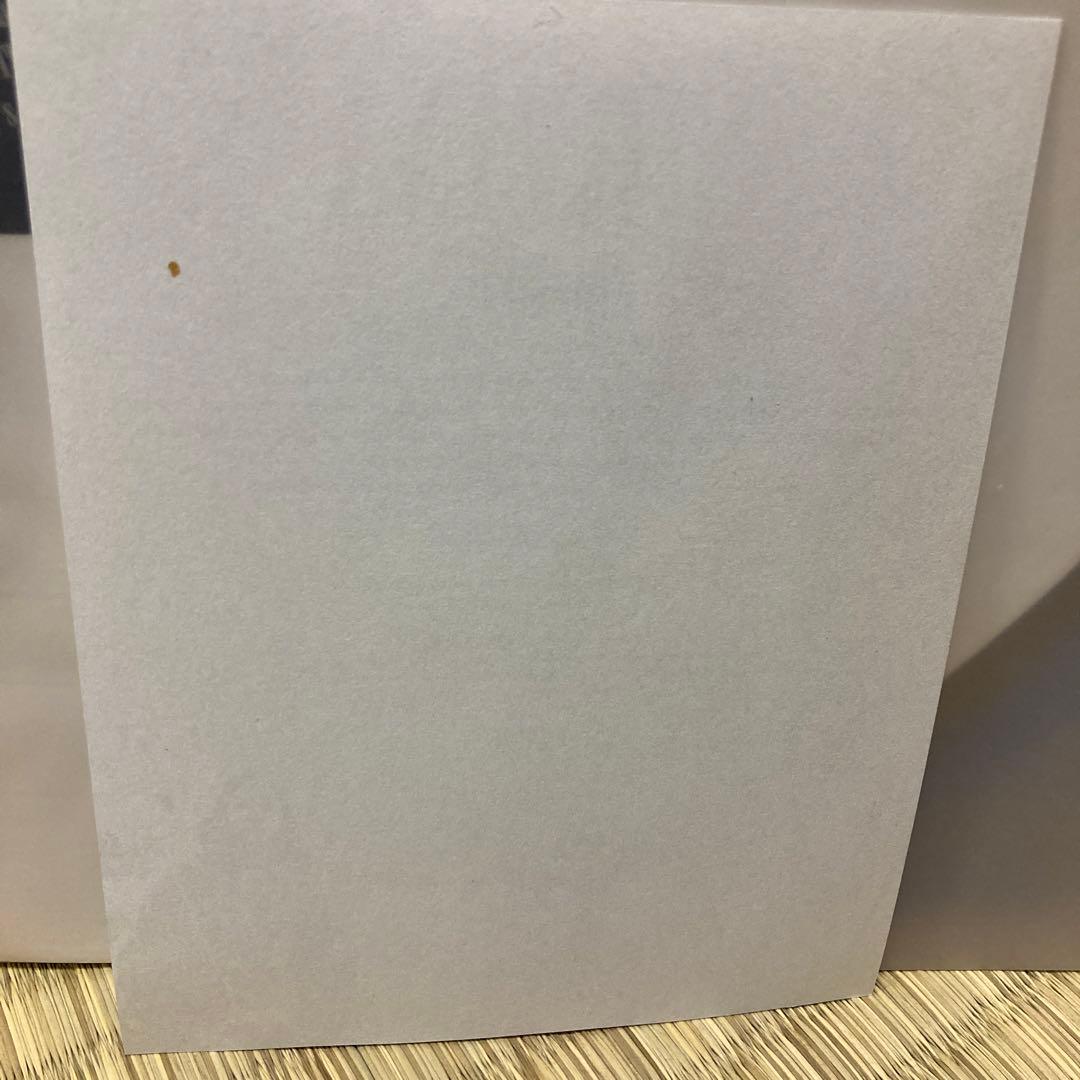 レア NIRVANA BLEACH 20周年記念盤 初回盤 ホワイトヴァイナル