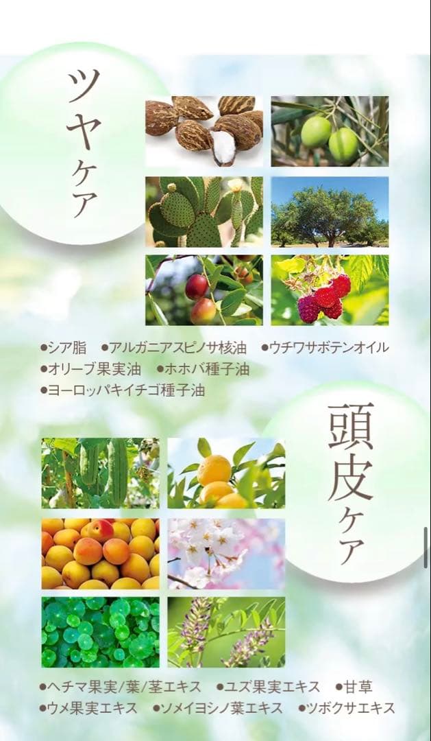 【4本セット】 LPLP エッセンス カラートリートメント ウォルナットブラウン