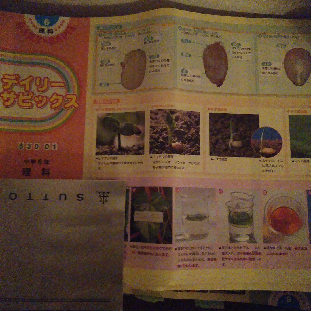 デイリーサピックス 6年 四教科