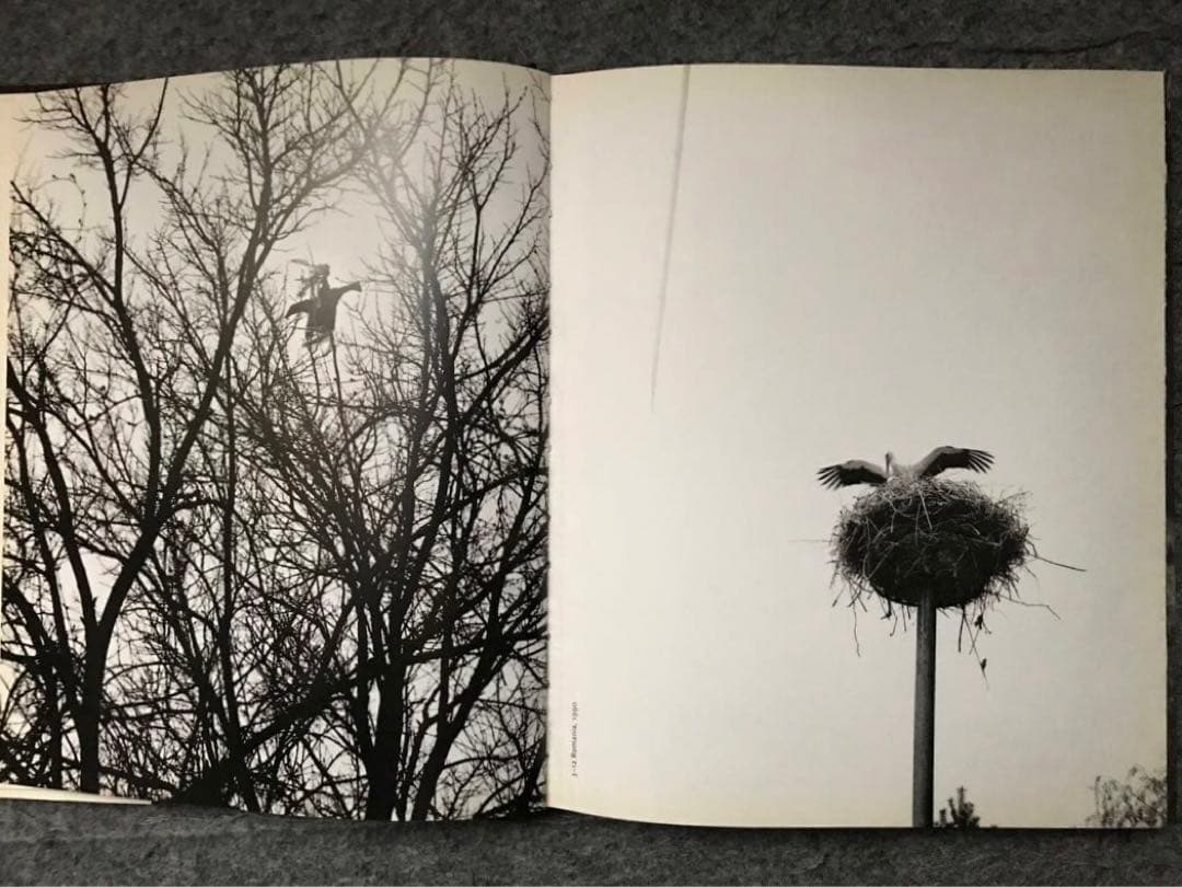 Juergen Teller ユルゲン・テラー TASCHEN