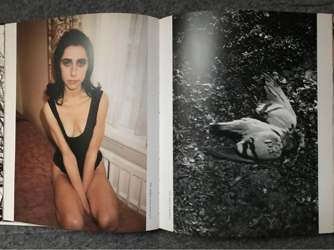 Juergen Teller ユルゲン・テラー TASCHEN