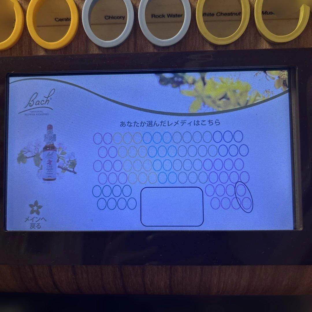 バッチフラワーレメディ　ディスプレイ