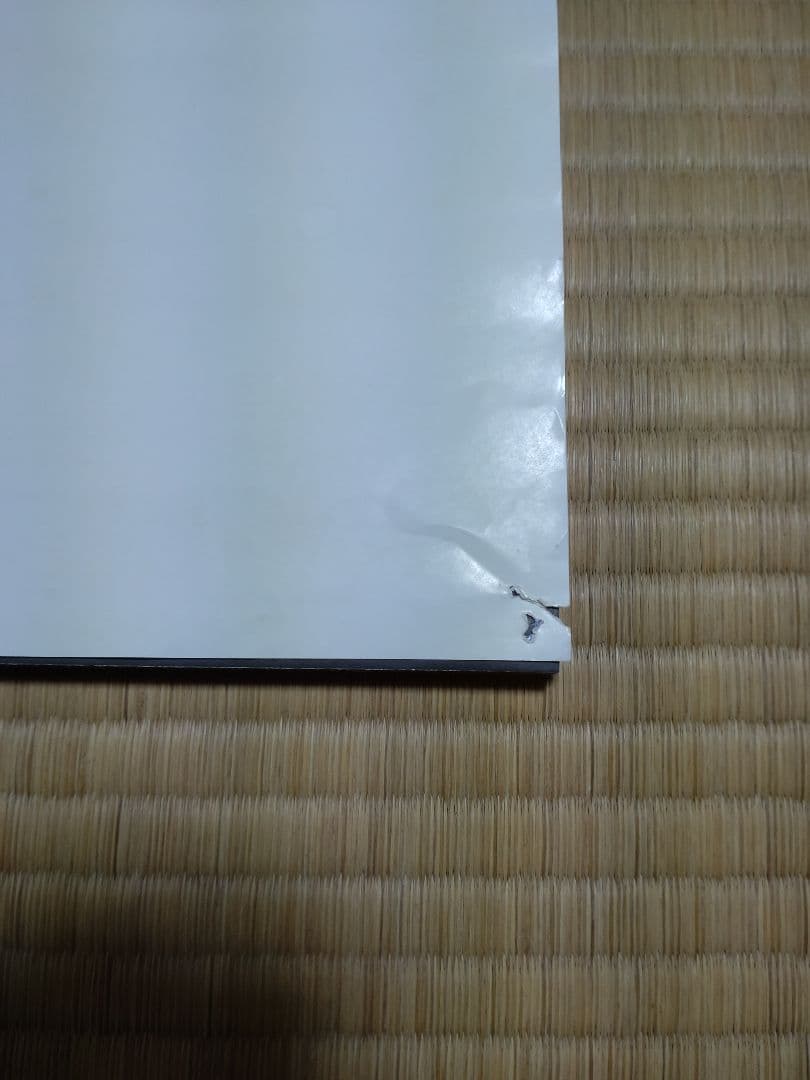 flumpool デビューシングル「花になれ」ポスター　サイン