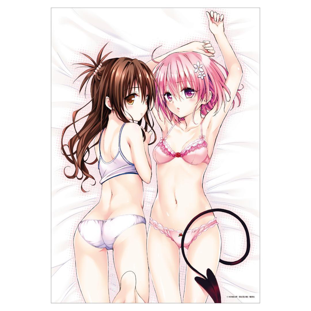 【未開封】To LOVEる-とらぶる-15周年記念原画展 アートパネルB