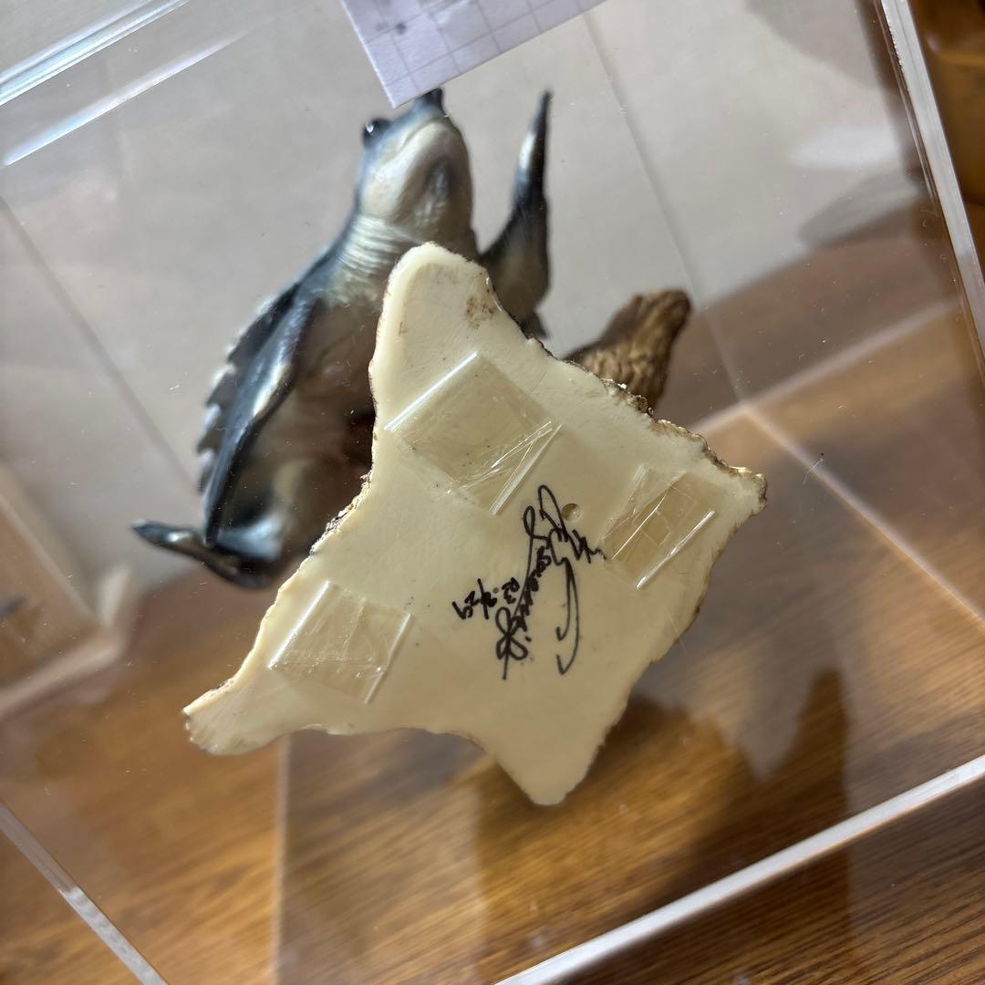 スッポンモドキ フィギュア ネイチャーテクニカラー