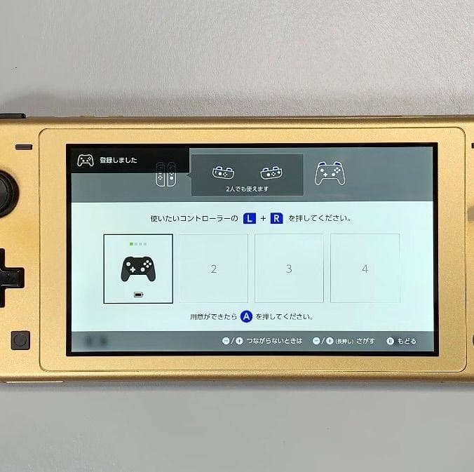 Nintendo Switch Lite 本体 動作品 ハイラルエディション