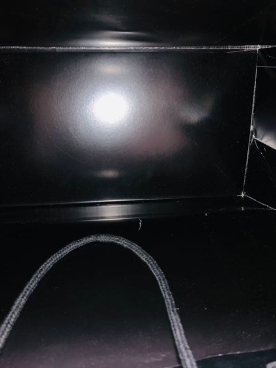 LADYGAGA FAME オードパルファム 香水　100ml レディーガガ