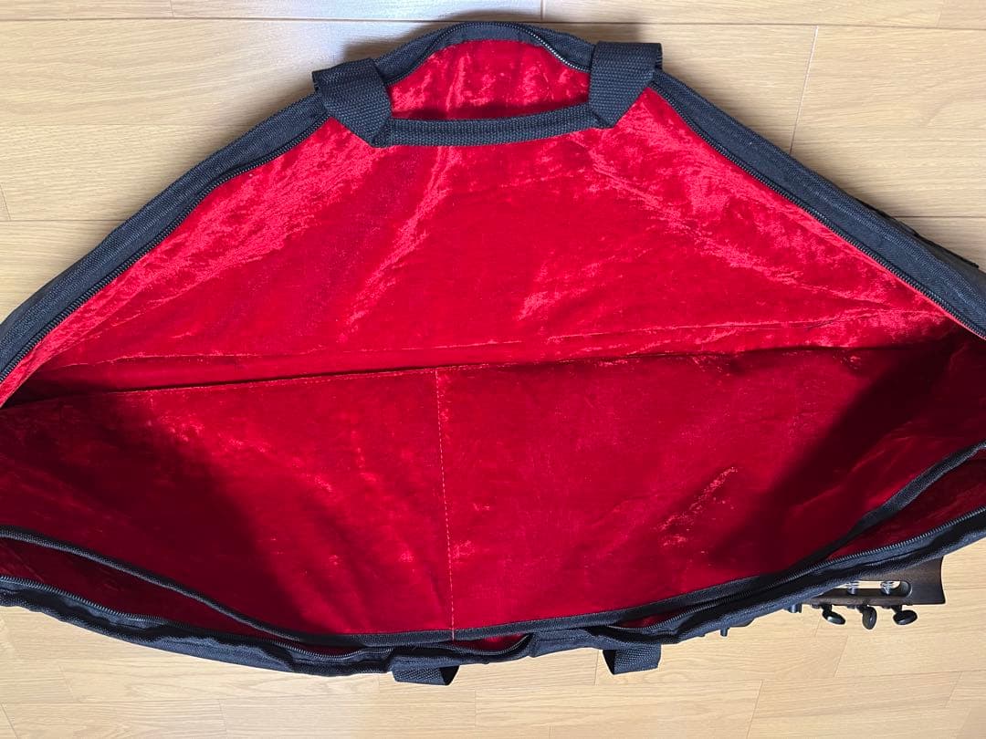 ボーちゃん専用品 ARIA アリア AS-101C Sinsonid