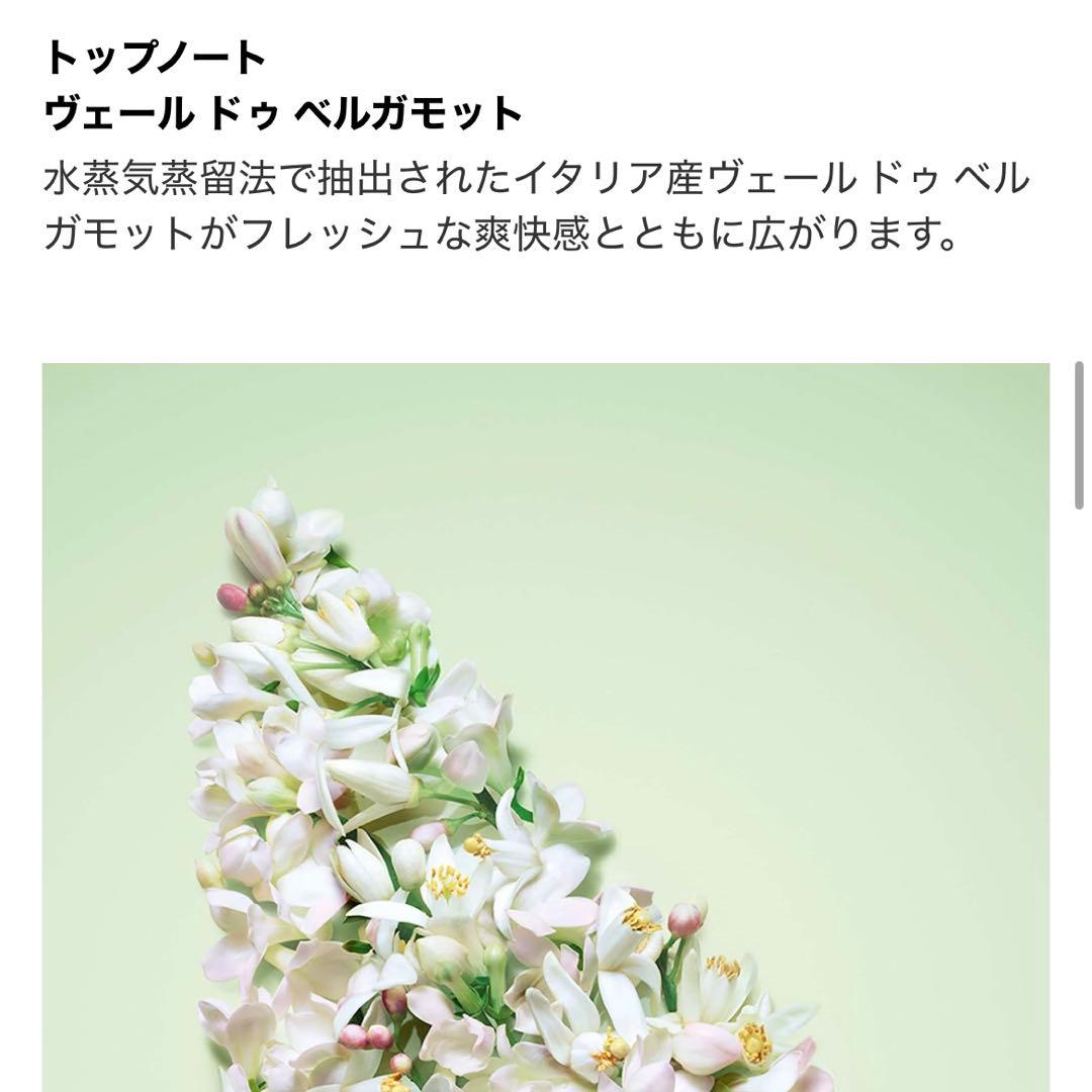 香水(女性用) PRADA PARADOXE Eau de Parfum 50ml