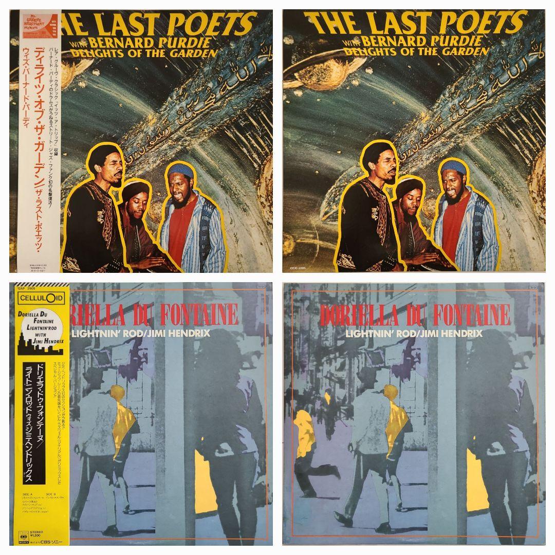 【レアグルーヴ】『ディライツ・オブ・ザ・ガーデン＆ドリエラ・ドゥ・フォンテーヌ』