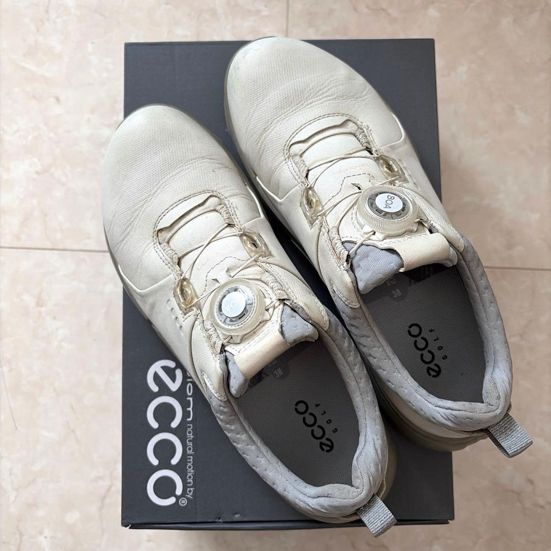 ecco エコー　ゴルフシューズ　ダイヤル式　 サイズ38（24㎝）