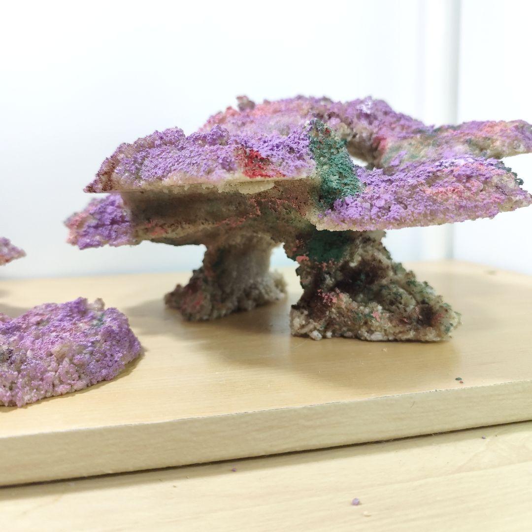 新品アク抜き不要 分離型人工ライブロック 60cm海水水槽用 レプリカ 多孔質5