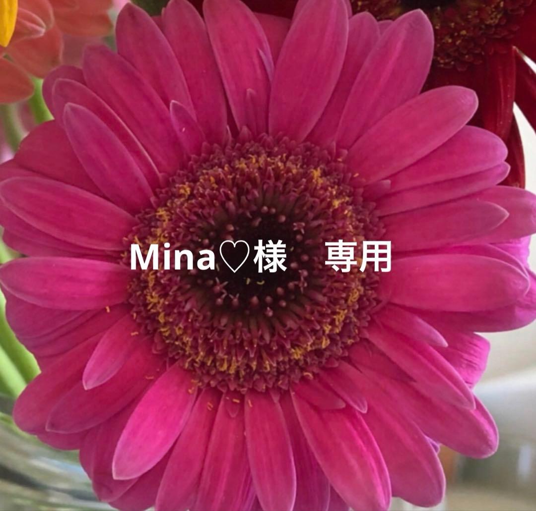 SAIBOWセラム45 ＆ サイボウクリーム