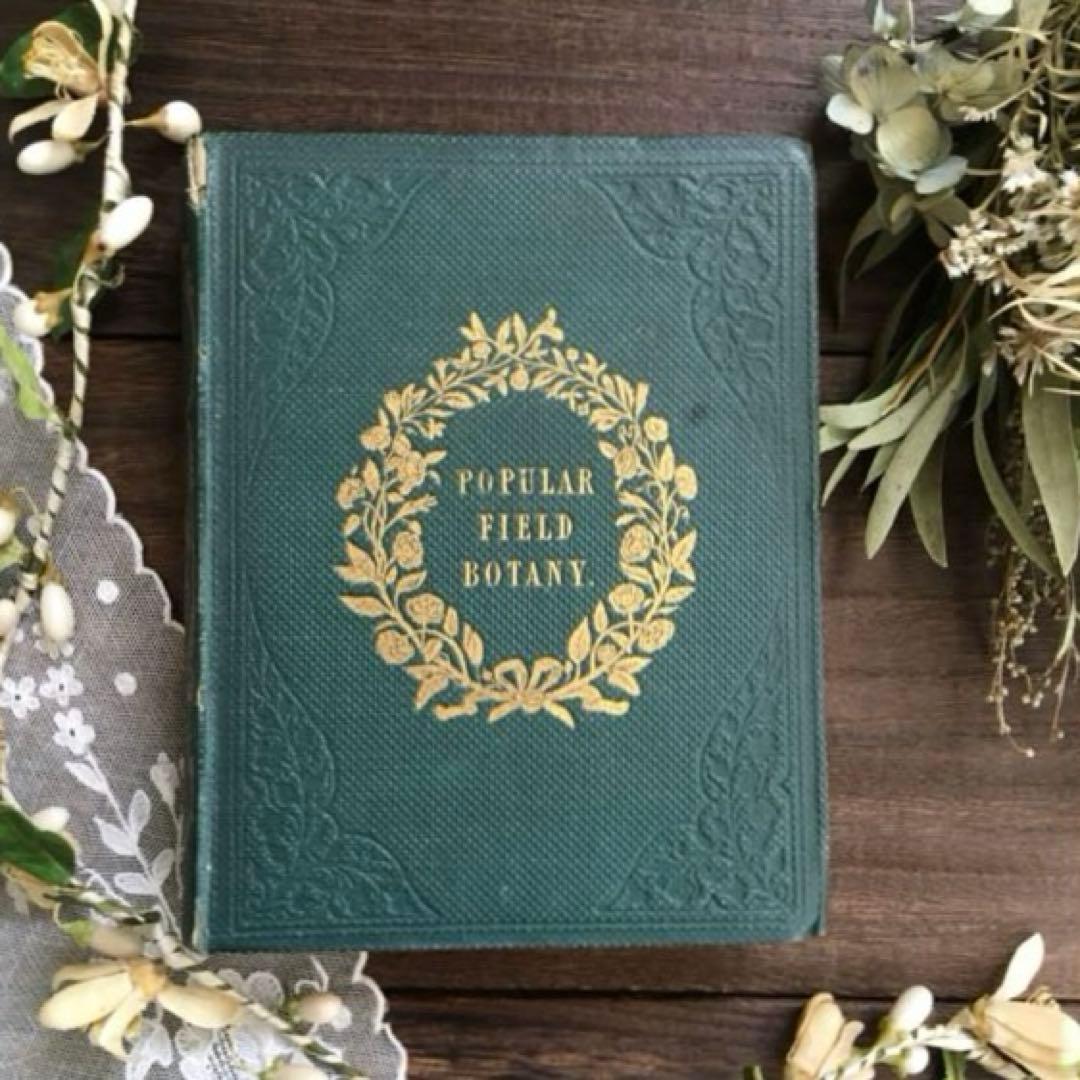 L833洋書古書 【1852年発行】大変希少なイギリスのアンティーク植物図鑑