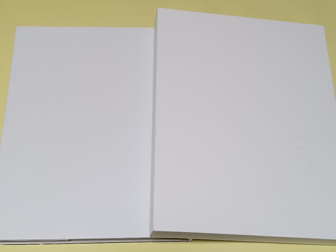 HARRY WINSTON アートブック 2012