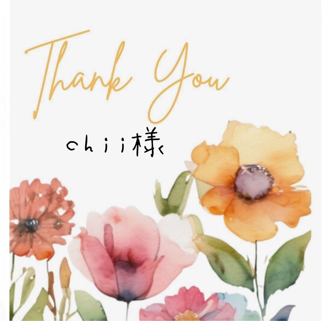 chii様 リクエスト 2点 まとめ商品