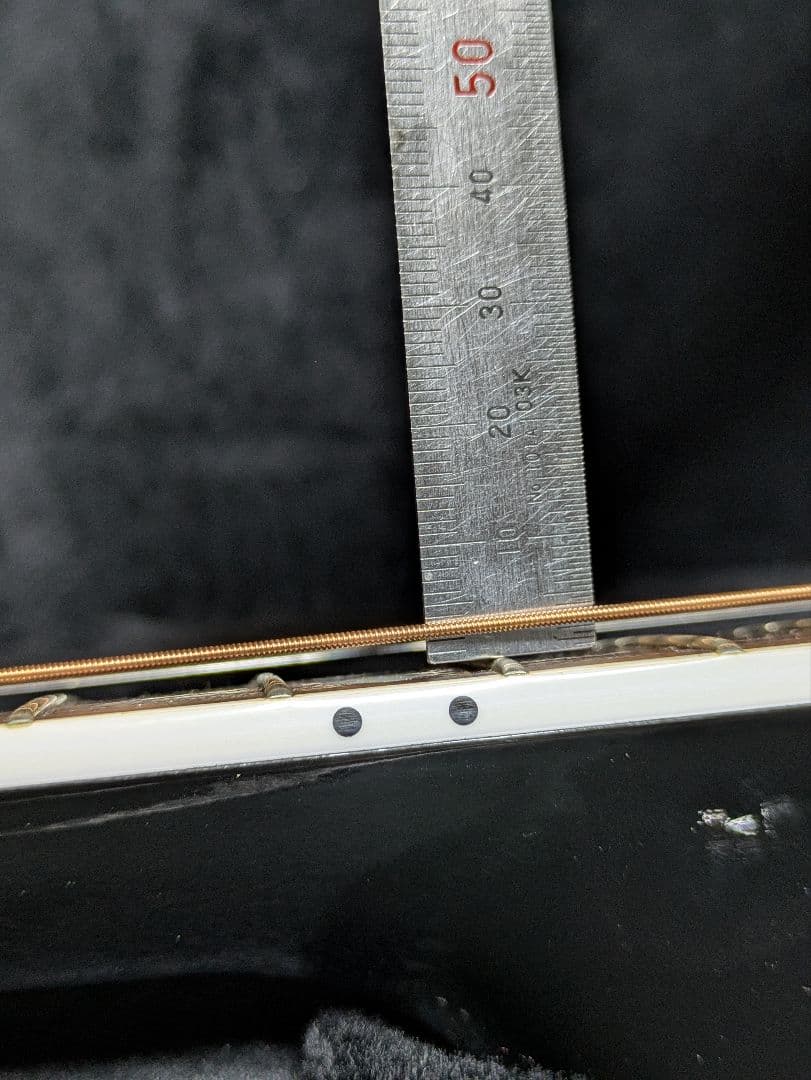 Seagull Artist Tuxedo Black EQ　エレアコ