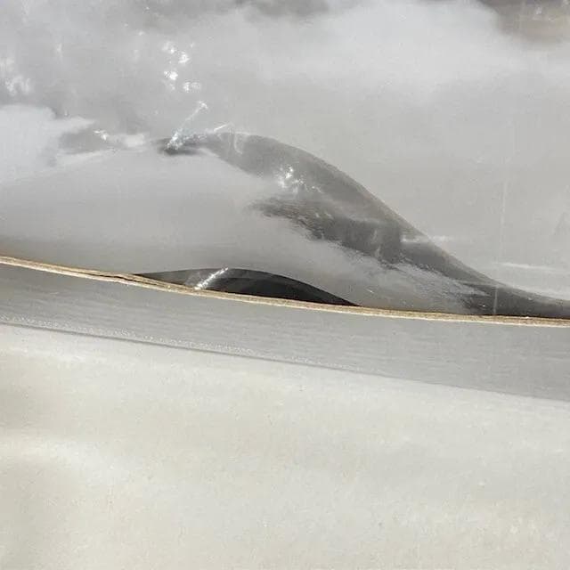 PLAY ARTS改 FF7AC クラウド・ストライフ&フェンリル