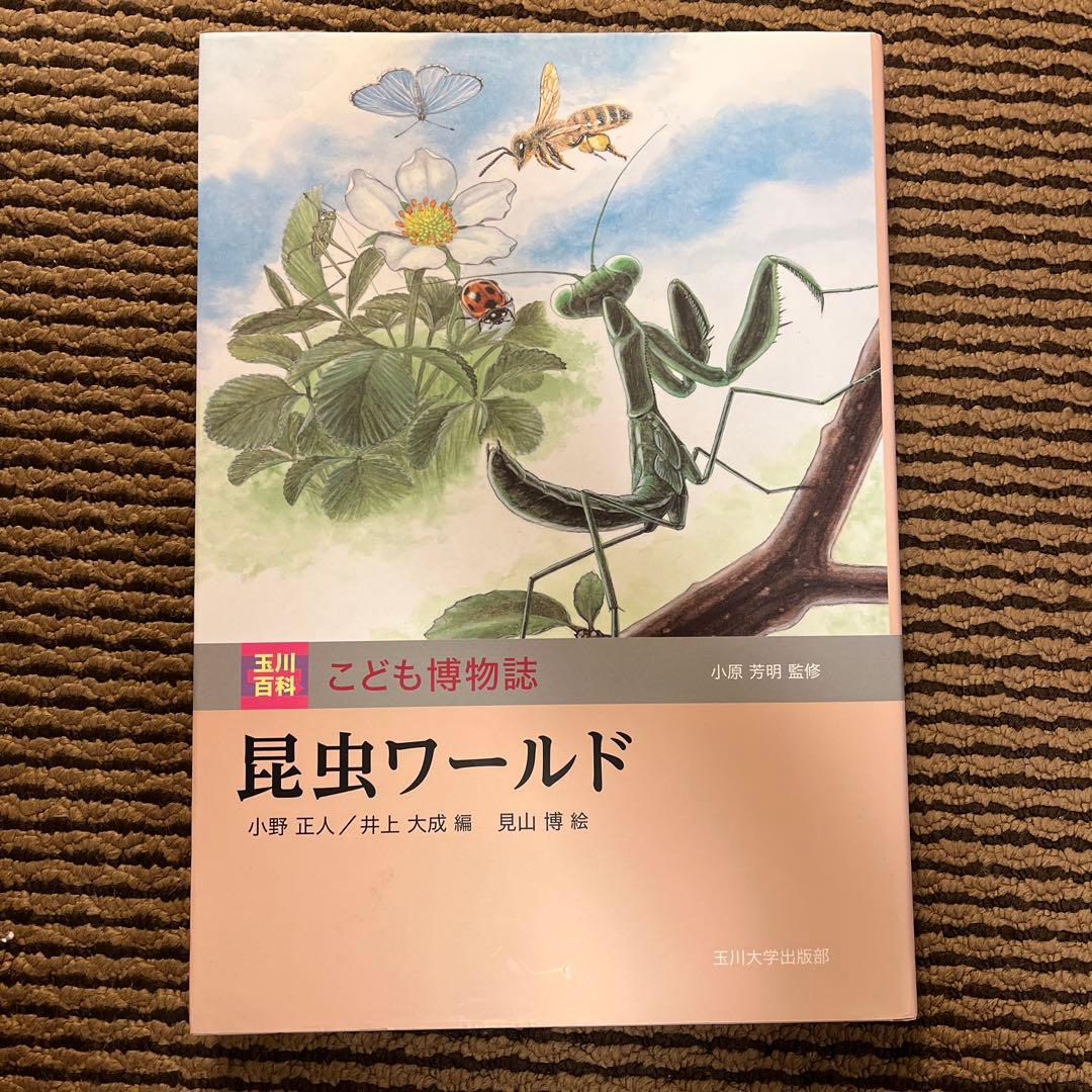 玉川大学出版部 こども博物誌全12巻 辞典 読書 学校 図書 受験 勉強 教科書