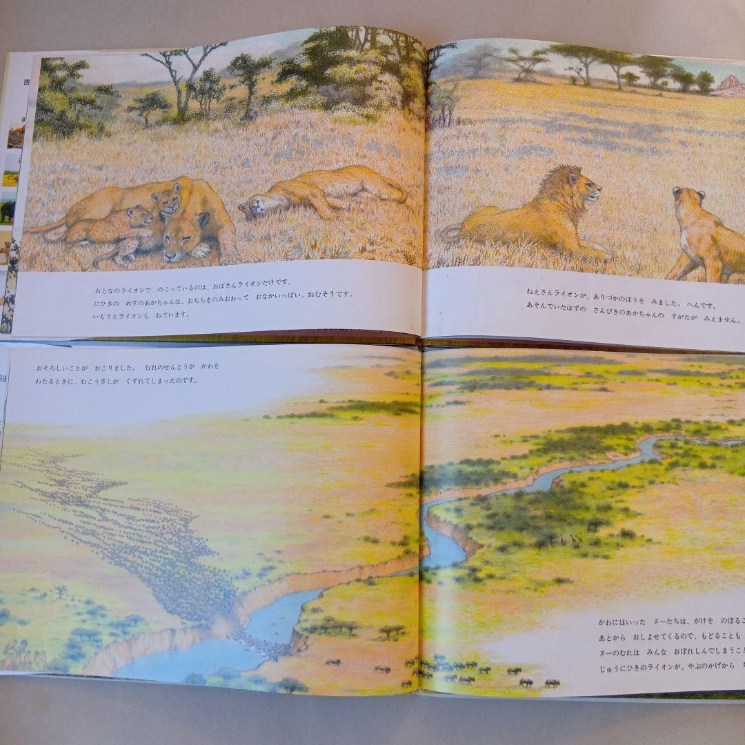吉田遠志 動物絵本シリーズ 1〜17 アフリカ